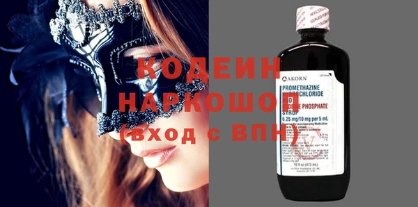 гашик Инта