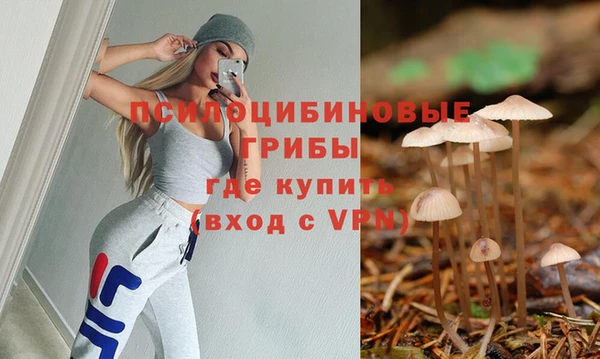 apvp Беслан