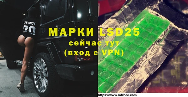 ECSTASY Инсар