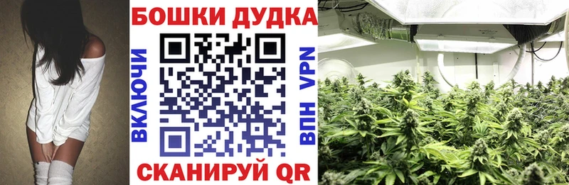 Шишки марихуана марихуана  купить   Ковылкино 